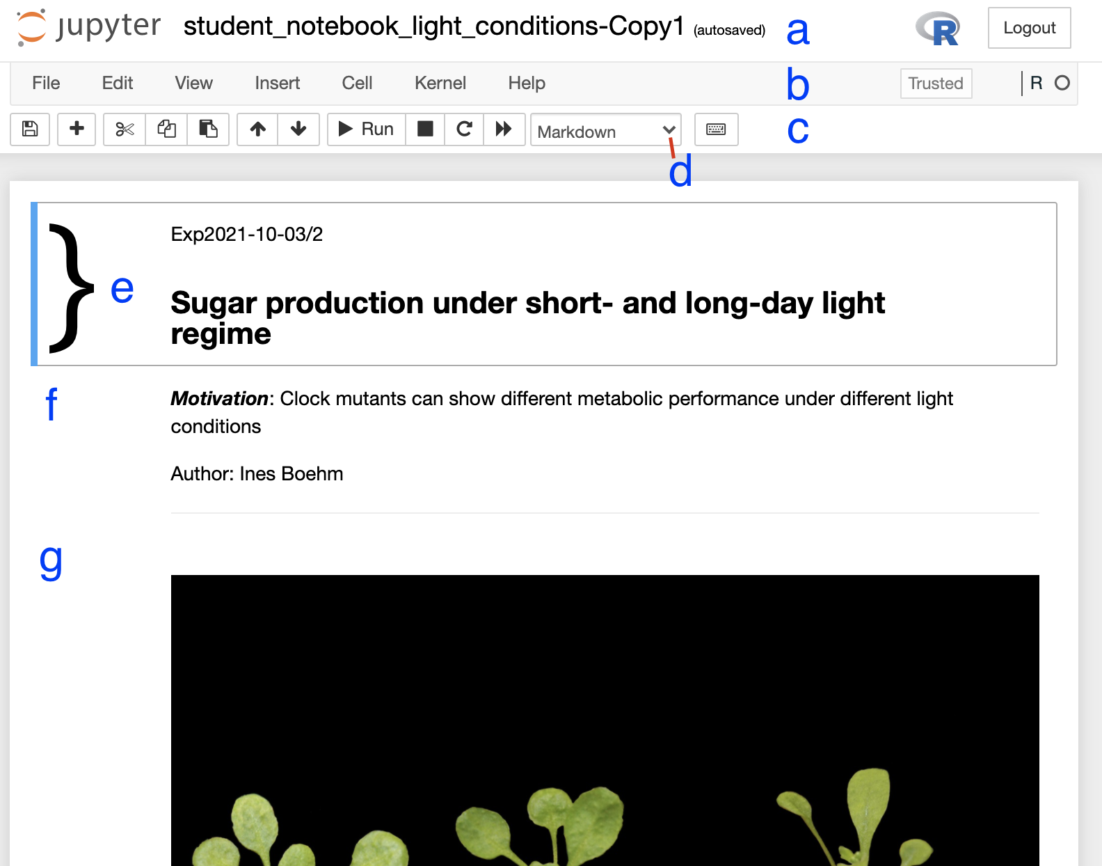 Figure 2. Anatomy of a Jupyter notebook: (a) depicts the name of the
notebook, (b, c) are toolbars, (c) contains the most commonly used
tools, (d) shows of what type - Markdown, Code etc... - the currently
selected cell is, and (e-g) are examples of cells, where (e) shows the
currently selected cell. 